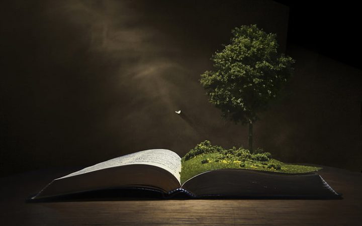 background-tree-book-wallpaper-preview